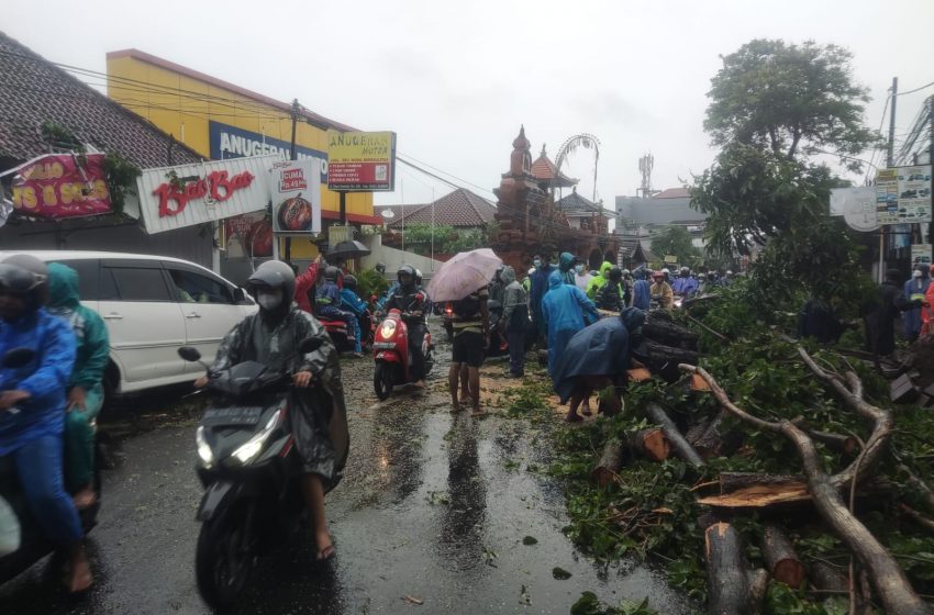  Cuaca Ekstrem, Ibukota Bali Dikepung Banjir