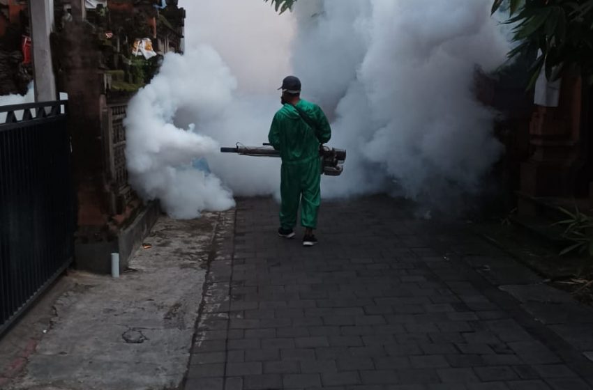  Cegah DBD, Pemkot Denpasar Giatkan Fogging