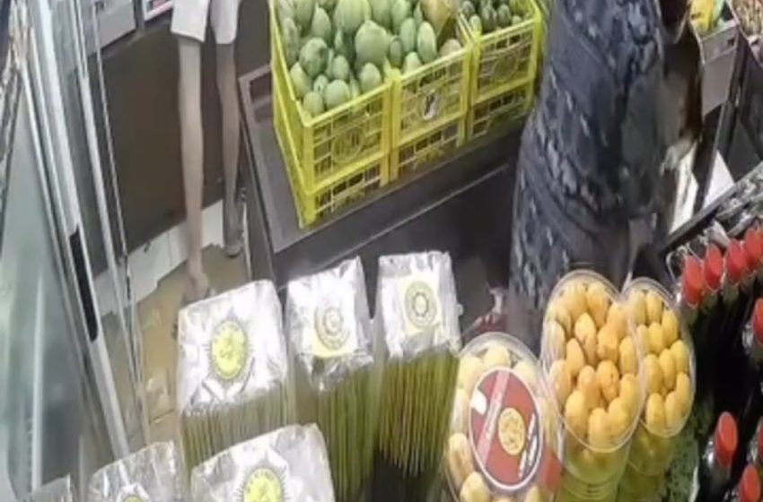  Ediaan….Bule di Bali Curi Buah di Toko Mengwi Badung, Aksinya Terekam CCTV Libatkan Anak Kecil