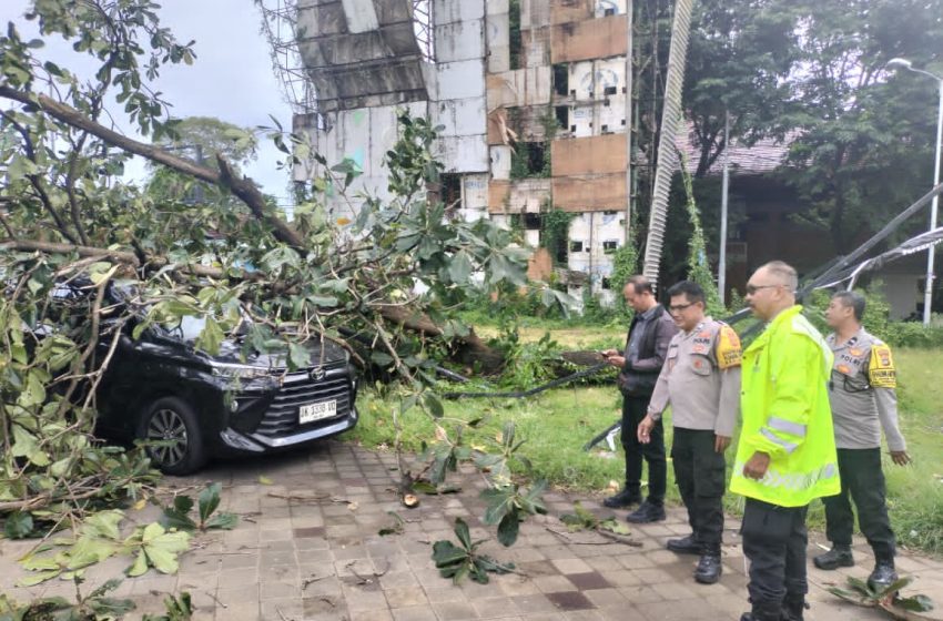  Angin Puting Beliung Terjang Denpasar, Belasan Rumah Rusak dan Pohon Tumbang