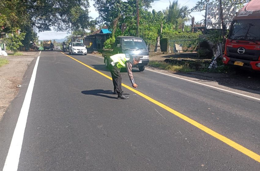  Kecelakaan Maut di Jalur Tengkorak Denpasar–Gilimanuk: Pemotor Selamat, Penumpang Tewas